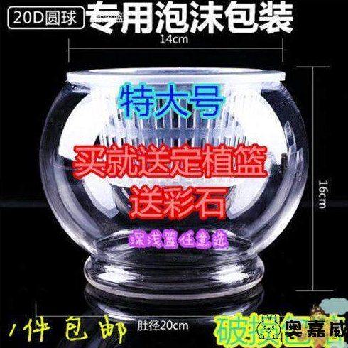 【特大号】水培植物玻璃瓶 水培绿萝花瓶花盆玻璃圆球 鱼缸容器皿,家居饰品,花瓶,淘宝优惠券,粉丝福利购,淘宝优惠卷
