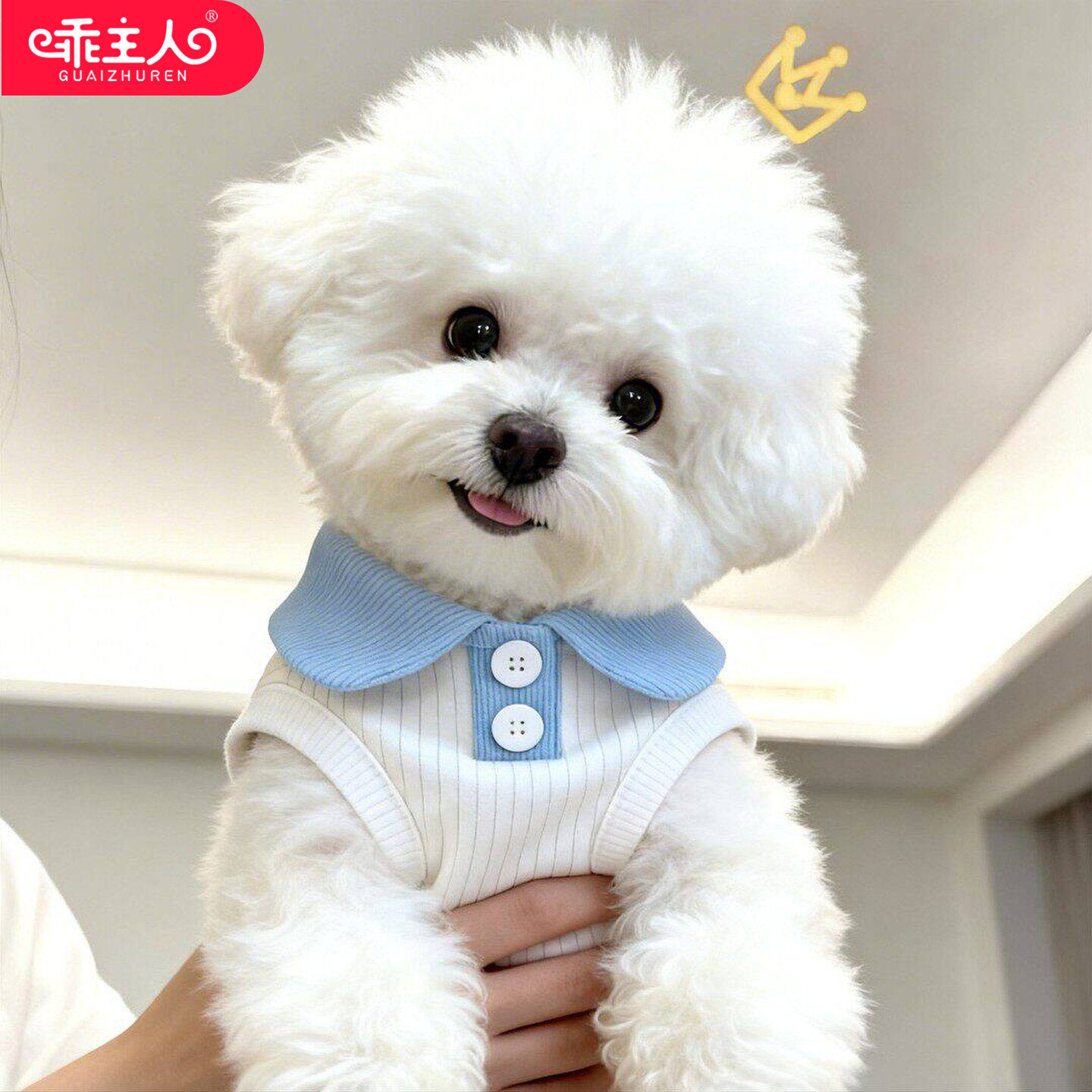小狗衣服春装薄款幼犬夏天狗狗Polo衫马尔济斯春夏透气两脚衣比熊