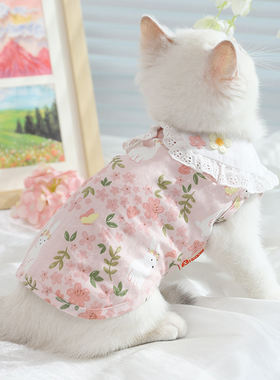 乖主人猫咪衣服防掉毛薄款装纯棉