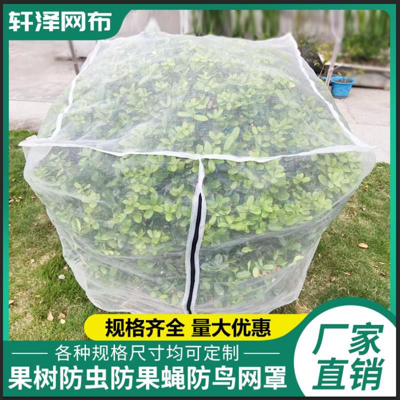 果树防鸟虫网杨梅罩大棚莲