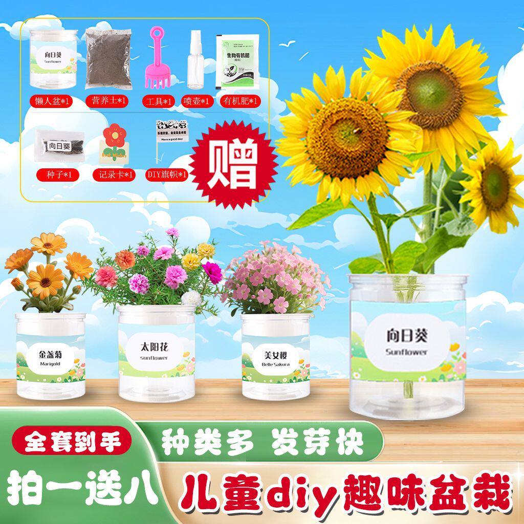 幼儿园童种植小盆栽学生观