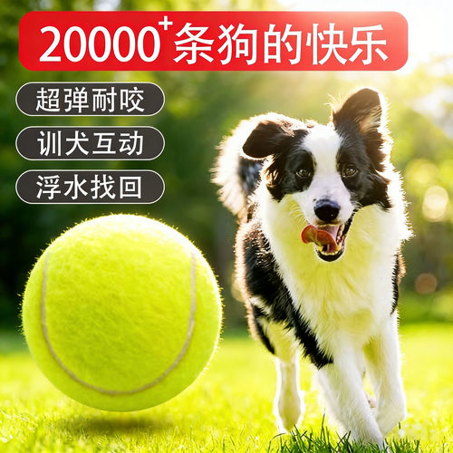 狗狗自嗨耐咬磨牙橡胶球