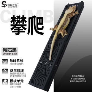 饲异生长爬宠除味攀爬盒守宫豹纹睫角肥尾盖勾亚蛇攀爬棒造景丰容