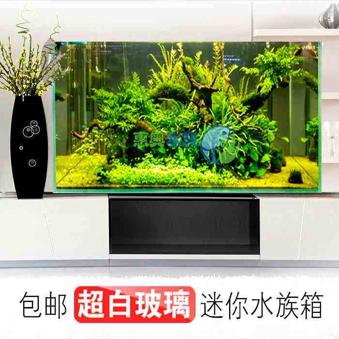 金晶超白溪流缸鱼缸 迷你水族箱 生态缸20/25cm 30-50厘米桌面缸