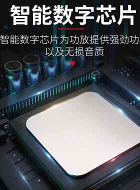 双通道专业CA2 CA4 CA6 CA12 CA18舞台演出婚庆大功率后级功放机