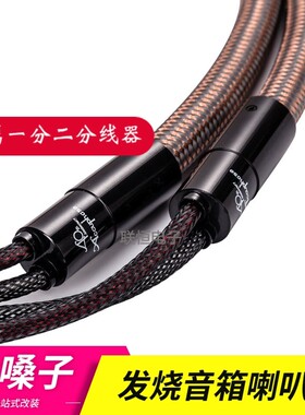 Accuphase金嗓子发烧级喇叭线hifi 音响线主音箱线功放音箱连接线
