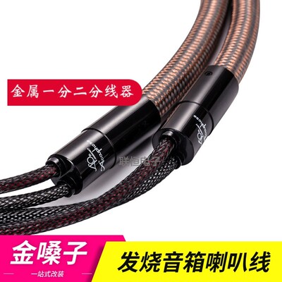 Accuphase金嗓子发烧级喇叭线hifi 音响线主音箱线功放音箱连接线