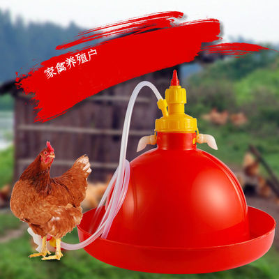 加厚雏鸡苗小鸡鸭鹅用自动饮水器喂水器水壶水桶养鸡用品养殖设备