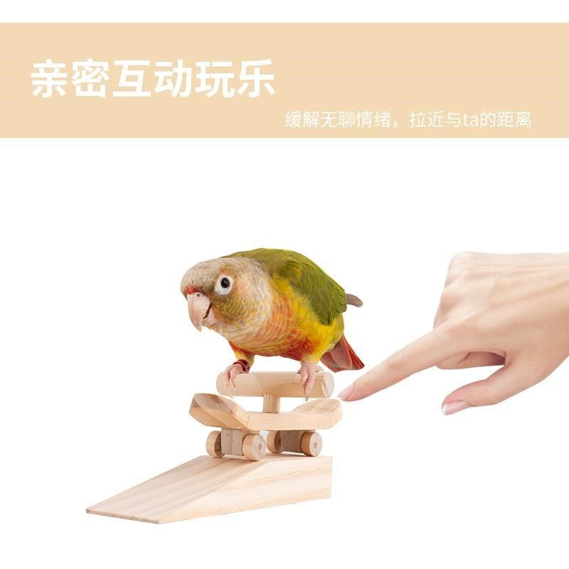 优嗖鹦鹉滑板车训练道具鸟玩具玩耍互动虎皮牡丹玄凤溜溜车实木,宠物/宠物食品及用品,鸟禽其他,淘宝优惠券,粉丝福利购,淘宝优惠卷