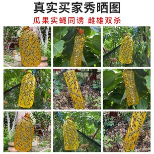 果蝇诱捕剂诱蝇球粘虫板喷剂瓜果实蝇诱粘剂菜果园果树针蜂引诱剂