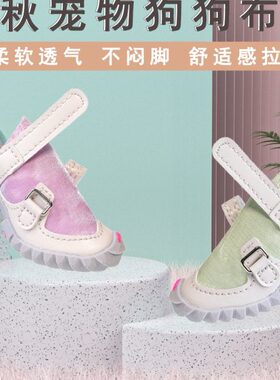 DJJ 狗鞋春秋狗狗鞋子中小型犬fokwow泰迪比熊防滑软底外出鞋子