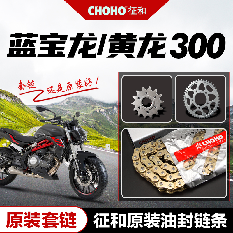 黄龙BJ300fGS BN300/302蓝宝龙300 原厂大小牙盘链轮征和油封链条