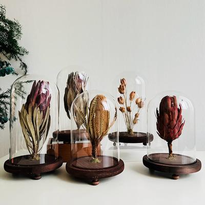 样板间轻奢植物标本装饰品玻璃罩摆件花艺中草药覆古简约标摆件