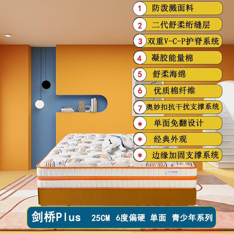 美国舒达床垫剑桥plus 青少年儿童VCP护脊凝胶奥妙扣弹簧偏硬25cm