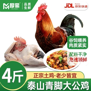 厚蒙青脚大公鸡土鸡林间散养鸡走地鸡整只肉质紧实速冻保鲜