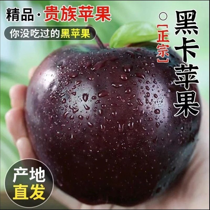 甘肃黑卡苹果正宗黑钻苹果当季新鲜水果整箱包邮纯甜冰糖心脆面,水产肉类/新鲜蔬果/熟食,苹果,淘宝优惠券,粉丝福利购,淘宝优惠卷