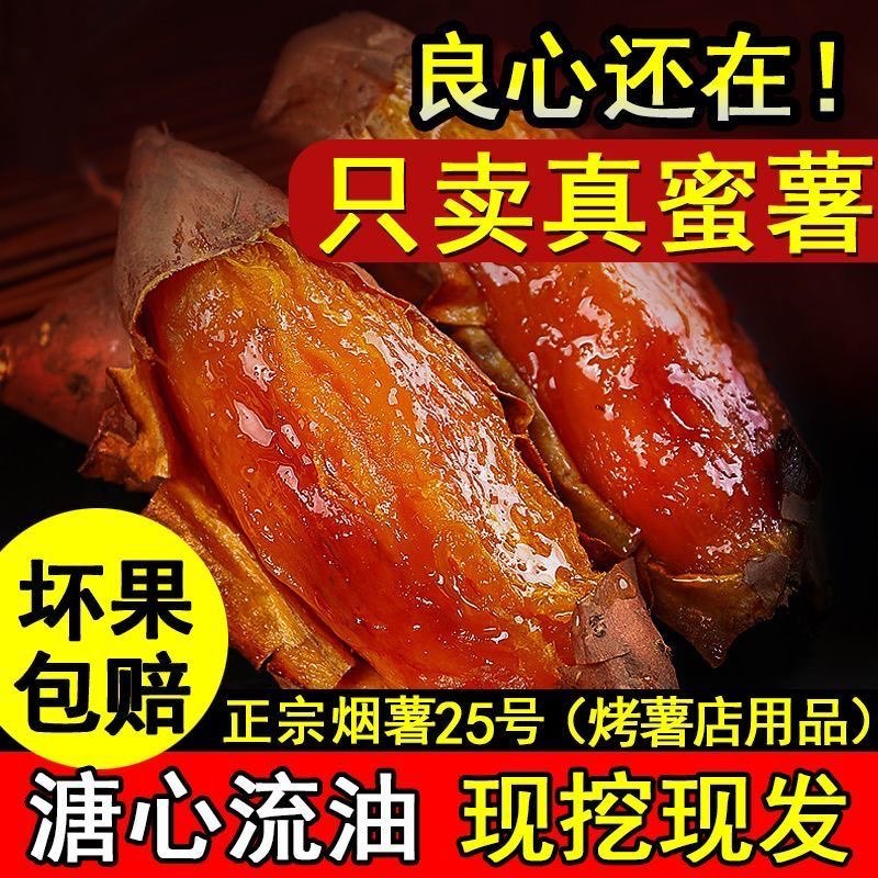 山东烟薯25号蜜薯糖心红薯新鲜地瓜现挖沙地番薯山芋农科院烤X
