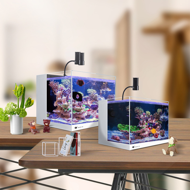 背滤海缸新手套餐大全迷你小型海水缸珊瑚缸小丑鱼缸