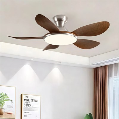 家用吸顶风扇灯2025年新款餐厅吊扇灯客厅变频大风力带电风扇吊灯