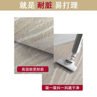 入户门地垫高级轻奢玄关门口进门门垫家用防滑脚垫地毯可裁剪垫子