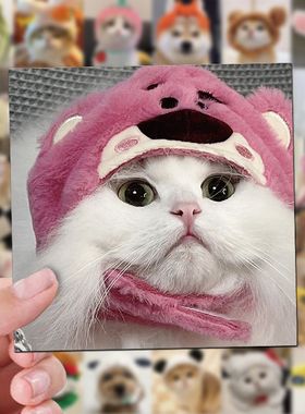 63张萌宠头像贴纸ins高颜值爆款可爱小狗狗猫咪创意装饰防水贴画