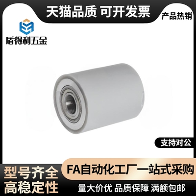 QAK36/37/38/39/40/41-D20/25/30/35-d8-L20-T3滚轮 直柱形