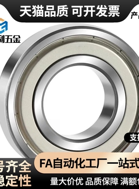 经济型 中大径滚珠轴承C-E6900 6901 6902 6903 6904 6905 6906ZZ