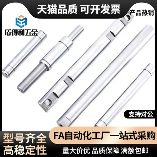 SEE01/2/6/7-D10-L100-B20 导向轴外螺纹标准型/同径型 g6