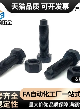 头部R型细牙碳钢定位螺栓STCB6/8-10/15/20/25/30/35/40/50/60/80