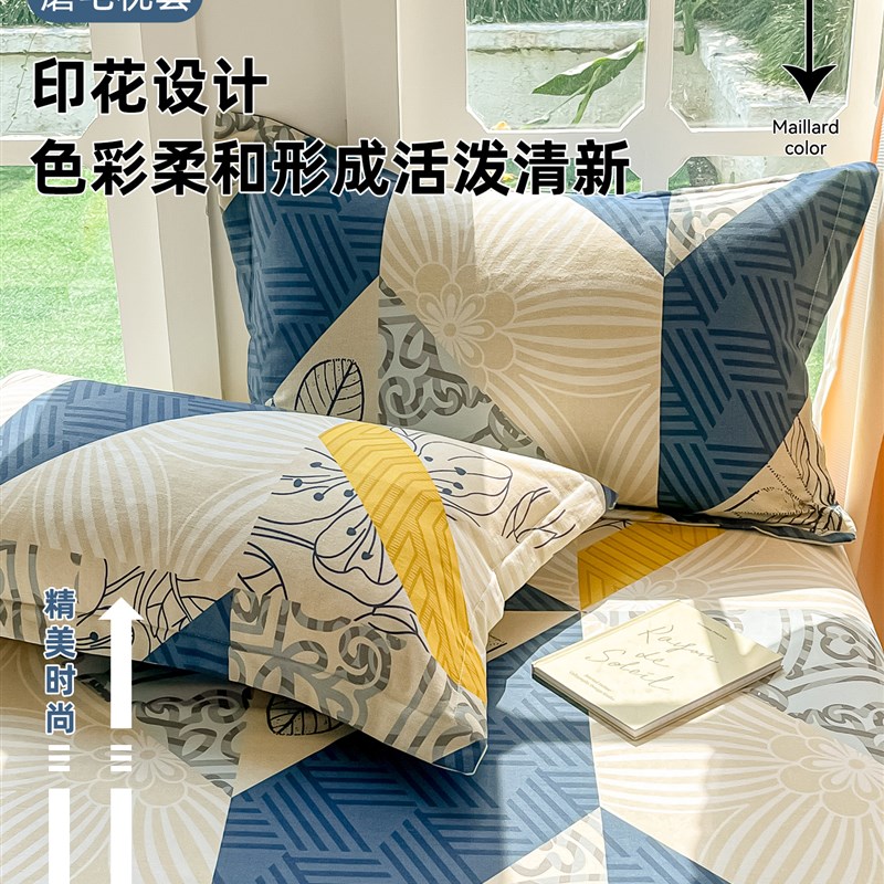 全棉加厚磨毛枕套秋冬一对装学生宿舍单人48x74cm枕芯内胆套