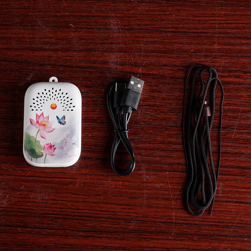 戴玉堂小型播放器音箱充电插电随身听可单曲循环便携式唱机唱戏机