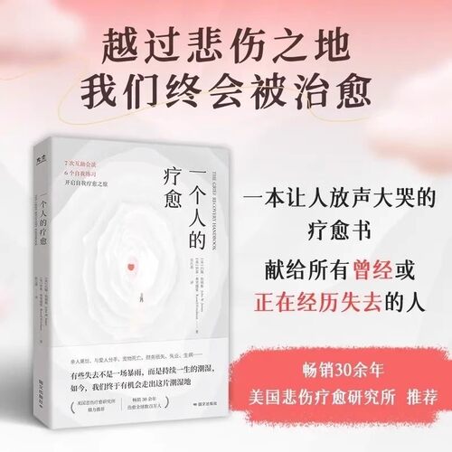 官方正版新书 一个人的疗愈书籍樊登推荐一本让人放声大哭的疗愈书越过悲伤之地我们终会被治愈互助会谈自我练习开启自我疗愈之旅