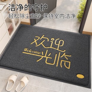 入户门地垫进门耐脏脚垫家用门外大门口防滑丝圈玄关门垫入门地毯
