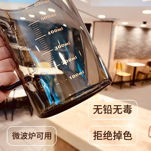 吸管刻度女高颜值杯子 水杯玻璃杯家用带把手办公室大容量轻奢男士