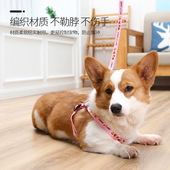 狗狗牵引绳遛狗绳狗链子胸背带栓狗绳小型犬泰迪博美比熊宠物用品