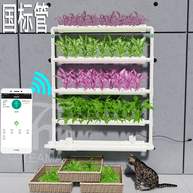 立式挂式阳台无土栽培种菜设备 储液一体自动浇灌水培种植神器