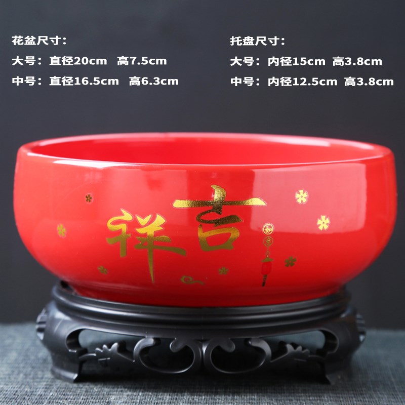 水仙花盆陶瓷铜钱草水培睡莲一叶莲碗莲金钱草水养专用盆缸无孔大
