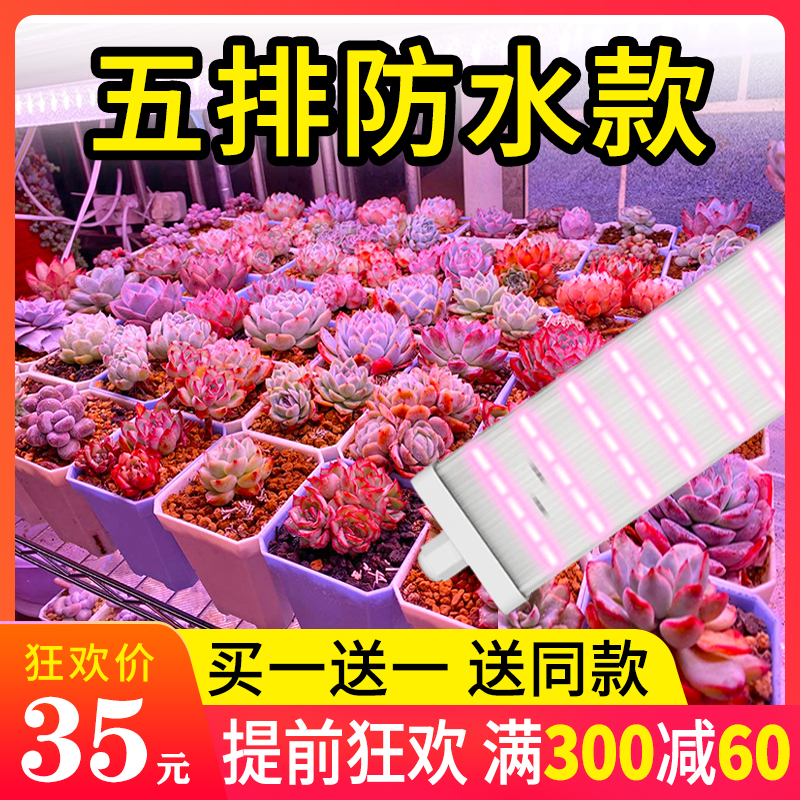 星锐多肉补光灯家用上色全光谱多肉灯植物补光灯仿太阳光室内绿植