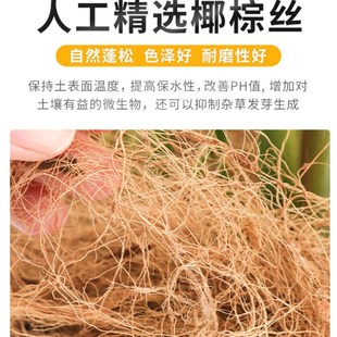 椰丝铺面盆景铺面草花盆土面装饰草丝鸟窝草窝椰丝垫料盆栽椰棕丝