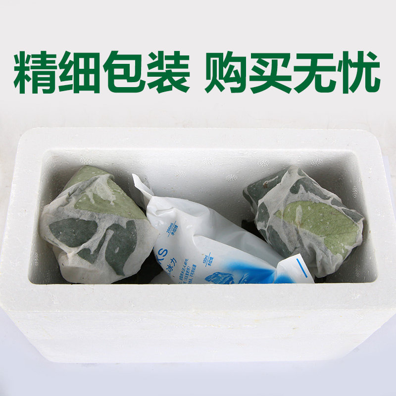 鱼缸水草植物真活草水培阴性增氧淡水入门级无土造景莫斯沉木水榕