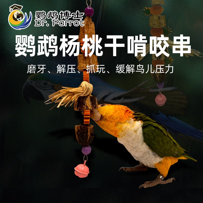 鹦鹉啃咬玩具杨桃干串中小型鸟娱乐解压解闷开发智力磨嘴牙防咬毛