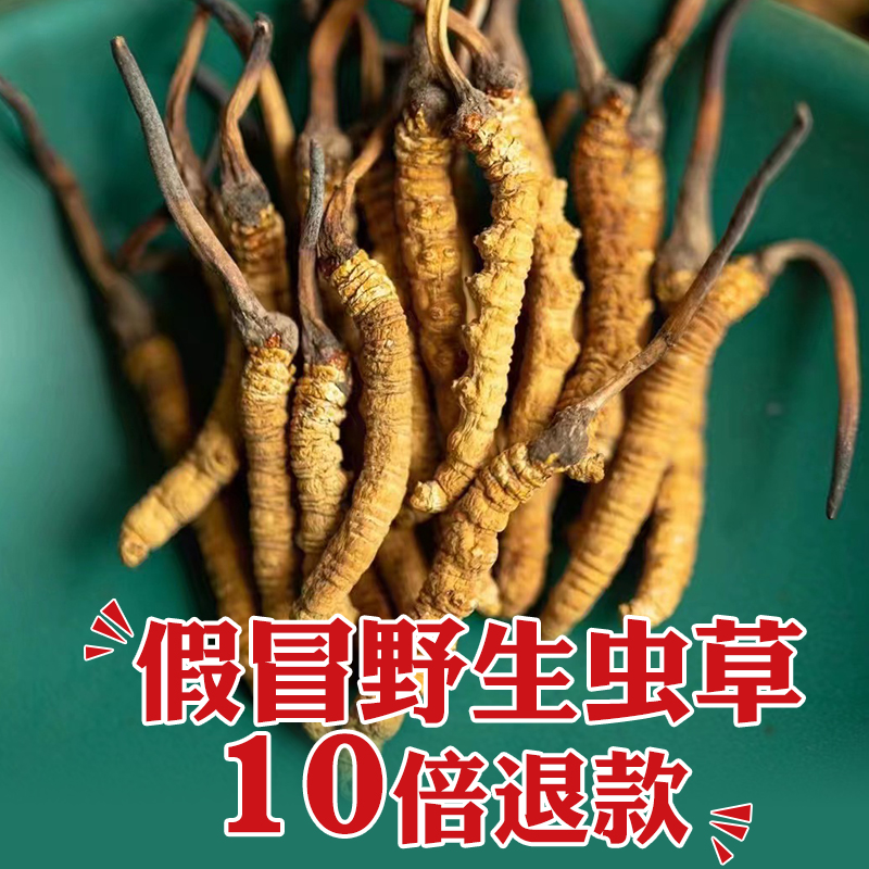 2025新鲜冬虫夏草头茬新货特级野生高海拔西藏那曲玉树种植断草