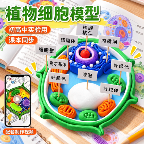 七年级动植物细胞模型材料包