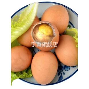 鲜客侠活珠子新鲜13天五香味40枚开袋即食无毛鸡蛋红壳熟制鸡胚