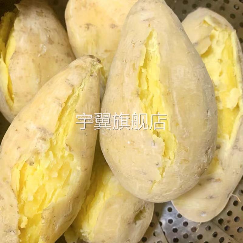 广东正宗潮汕白皮黄心板栗薯香甜粉糯现挖农家鸡蛋黄番薯地瓜包邮图片