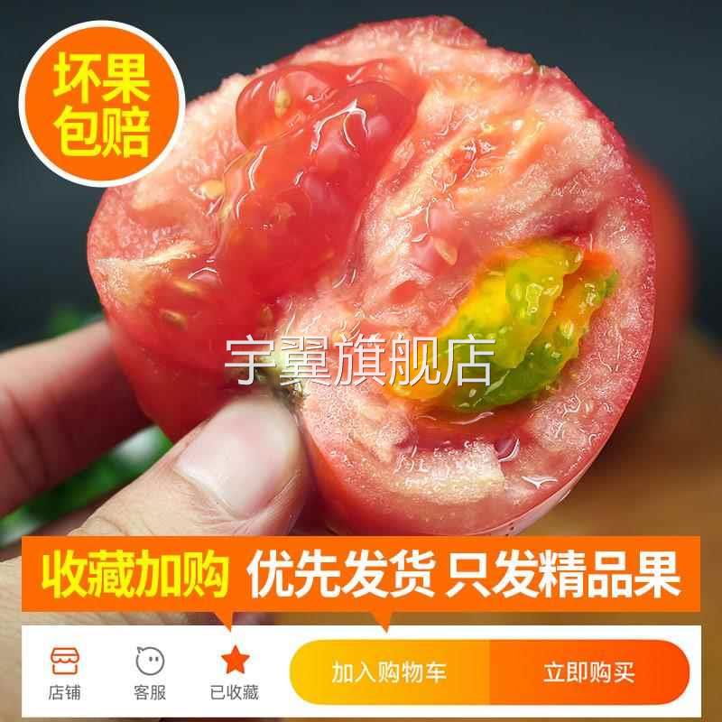 正宗普罗旺斯沙瓤西红柿5-9斤装自然熟山东非铁皮柿子水果大番茄