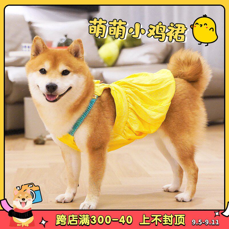 萌萌小鸡裙 狗狗春夏装薄款衣服宠物可爱吊带背心套Z头中小型犬