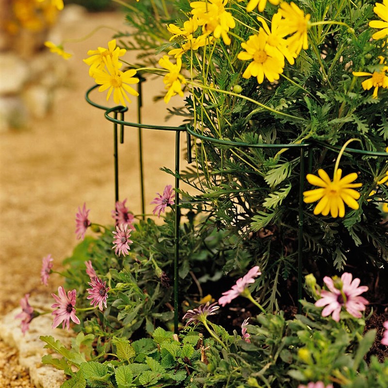 防倒伏弧形花坛边界支撑架阳台盆栽园艺支架草花绣球自由组合支架