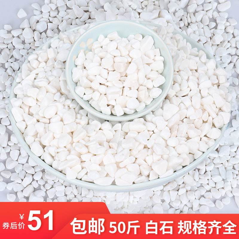 斤白石子白色鹅卵石鱼缸小石头园林庭院铺路造景枯山水天然原石