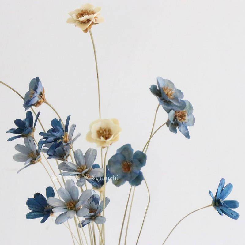 ins进口雏菊干花小花束仿真花装饰摆件不会枯萎的花蓝色永生花